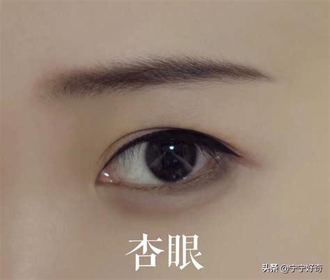 丹鳳眼 面相|從眼型看桃花運｜6款桃花眼面相特徵 「笑眼」最煞食｜細數典型 